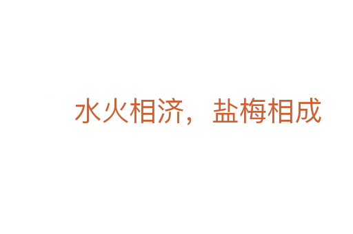 水火相濟,鹽梅相成