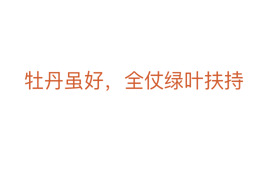 牡丹雖好,全仗綠葉扶持