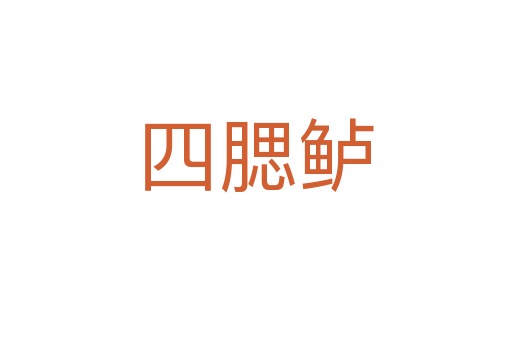 四腮鱸