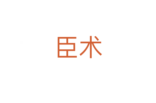 臣術(shù)
