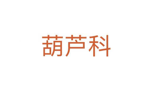 葫蘆科