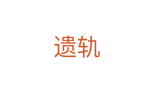 遺軌