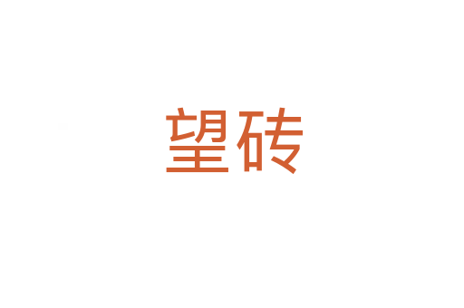 望磚