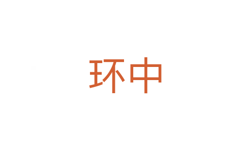 環(huán)中