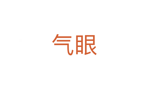 氣眼