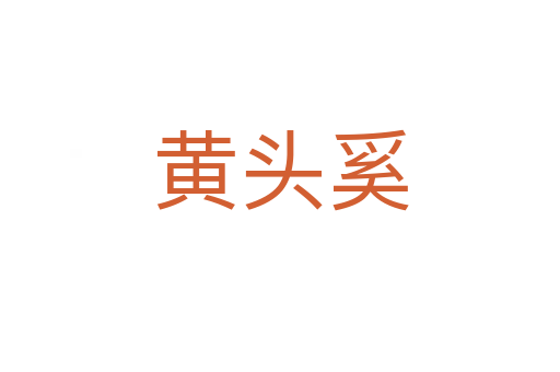 黃頭奚