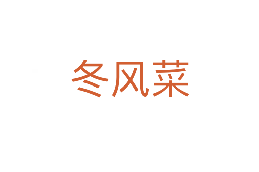 冬風菜