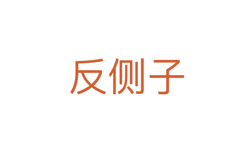 反側子