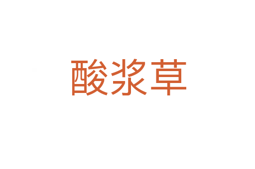 酸漿草