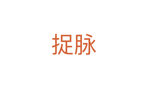 捉脈