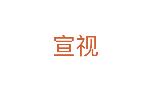 宣視