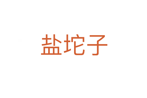 鹽坨子