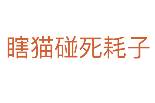 瞎貓碰   耗子