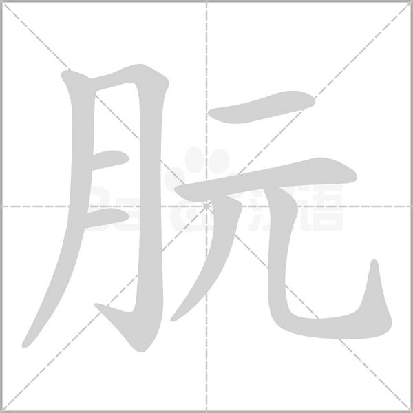 朊的筆順動(dòng)畫演示