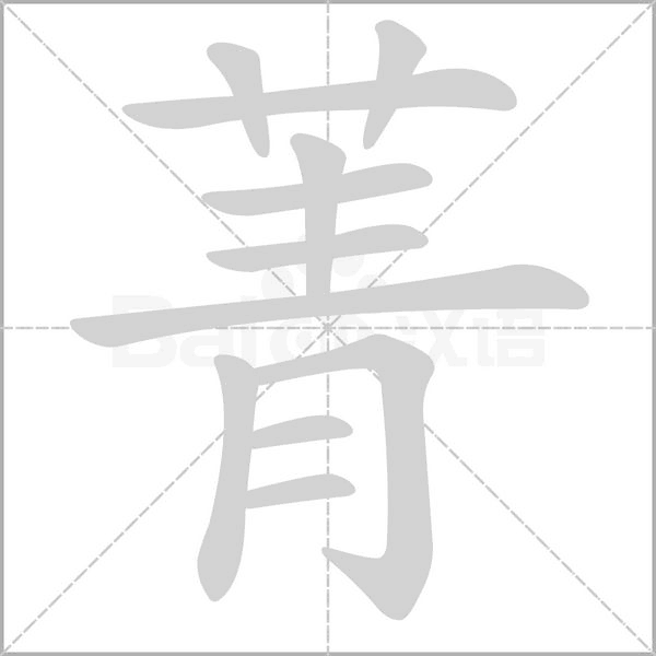菁的筆順動(dòng)畫演示